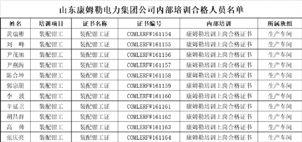 山东康姆勒电力集团公司内部培训合格人员名单