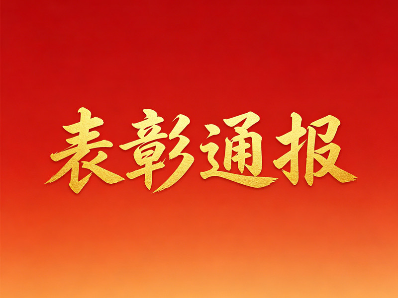 山东康姆勒电力集团有限公司关于赵胜东同志建言献策的表彰通报
